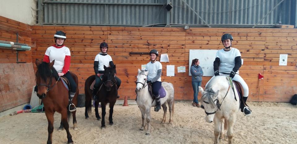 Championnats d'équitation