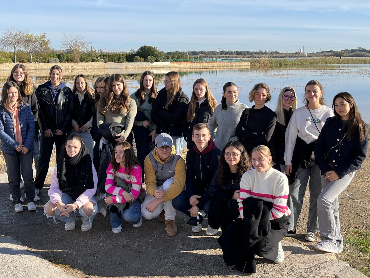 qM6eZhP3T8icBhWOExqQ6Q